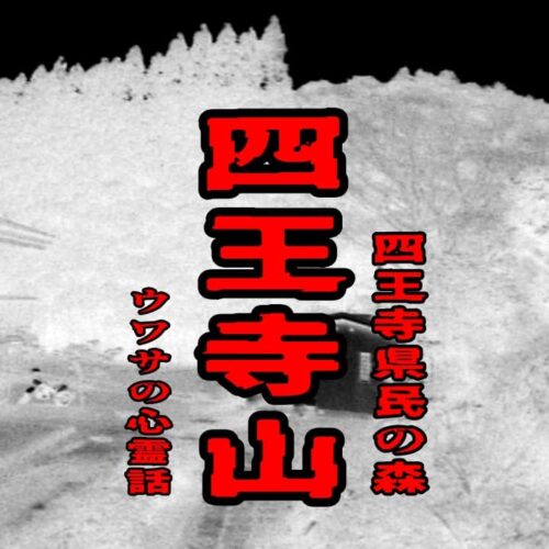 四王寺山(四王寺県民の森)　のウワサの心霊話